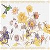 Dundee Deco DDAZBD9020 - Carta da parati autoadesiva con motivo floreale, viola, crema, rosa, motivo colibrì, 4,57 m x 17,78 cm