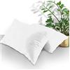 GC GAVENO CAVAILIA Diamond Lenzuolo con Angoli in Policotone, Facile da Pulire, Tinta Unita o federe per casalinga, Confezione, Bianco, 2 X Pillow Case