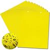 BestTrap Yellow Sticky Fly, Fly Paper stickers, Sticky Fly Catchers dual-side trappole per insetti nematodi, Whiteflies, afidi, Leafminers, etc- (15,2 x 20,3 cm, fascette incluse) 20-pack