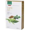Ligne Art 20 Bio Ampolle Bevibili Da 15 Ml 20x15 ml Flaconcini bevibili