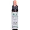Ainsworths Beech 10Ml 10 ml Gocce orali