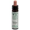 Ainsworths Willow 10Ml 10 ml Gocce orali