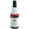 Bush Fuchsia Gocce 15 Ml ml orali