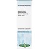 Drosera Erba Vita Drosera Pianta Tintura Idroalcolica 50 ml Soluzione