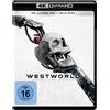 WARNER BROS Westworld - Staffel 4 (3 4K Ultra HD) (+ 3 Blu-ray 2D)