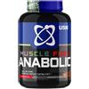 USN Muscle Fuel Anabolic 2 kg - USN