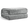 EHEYCIGA Coperta Pile Singolo Matrimoniale, Plaid Divano e Letto Coperte Pile di Flanella Calda Morbida, Twin 150x200 Grigio