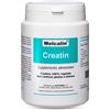 BIOTEKNA MELCALIN CREATIN 190G