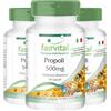 Fairvital | Estratto di Propoli d'Ape 500mg - per 1 mese - standardizzato al 3% di Galangina - 3 x 60 capsule - resina naturale d'api