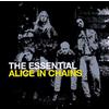 Sony Music Essential Alice In Chains