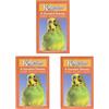 3 PACK Kagesan, fogli di carta sabbiata per gabbie per uccelli, 24 fogli, 35 x 21 cm, 14 x 8 cm