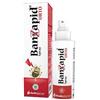 Banzapid Spray Trattamento 100 Ml ml