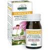 Echinacea DR. Giorgini Echinacea Estratto Tit 60Past 60 pz Pastiglie