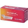 Neuroplus 10 Flaconcini Ml 10x10 ml bevibili
