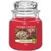 Yankee Candle Menta, Confronta prezzi