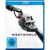 Warner Bros. (PLAION PICTURES) Westworld - Staffel 4