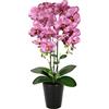 Flair Flower Orchidea artificiale, 58 cm, in vaso, orchidea artificiale, ideale come decorazione per matrimoni e matrimoni