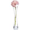 Bamboopack Vaso in vetro soffiato fatto a mano per fiori e boccioli da ufficio, decorazione per casa, matrimonio, trasparente, 20 cm