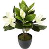 Flair Flower Magnolia in vaso artificiale, decorazione primaverile e primaverile