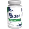 Completa Q Q Diet Compensa Polvere 250 g per soluzione orale