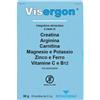 Revalfarma Visergon 16 Bustine 5,5 G