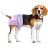 Flying Paws Pannolini usa e getta per cani,S,40 Pezzi