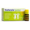 FITOBUCANEVE Srl FOSFARSILE JUNIOR 10FL