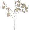 LEONARDO HOME Argene Dollaro Poesia 076439 - Pianta in plastica, 86 cm, colore: Bianco