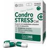 Condrostress + Cat 30Cps 1 pz Capsule