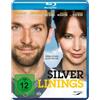 LEONINE Silver Linings