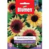 Blumen girasole annuus floren