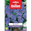 Blumen viola cornuta blue perfection