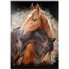 MyPuzzle.com MyPuzzle Due Cavalli Intrecciati - Premium 1000 Pezzi Puzzle - MyPuzzle Collezione speciale di Puzzle Galaxy