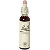 Beech bach orig 20 ml