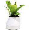 QUALY Oasis Hill QLX20001-WH - Vaso da fiori con sistema di auto-irrigazione, colore: Bianco, S