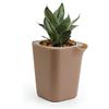 QUALY Oasis Square QL10305-BN-GY - Vaso da fiori quadrato con sistema di auto-irrigazione, colore: marrone, S