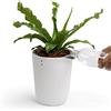 QUALY Oasis Square QL10307-WH-GY - Vaso da fiori rotondo con sistema di auto-irrigazione, colore: Bianco, S