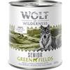 Wolf of Wilderness Senior 12 x 800 g umido per cane - Green Fields - Agnello