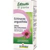 BOIRON Srl ECHINACEA ANGUSTIFOLIA ESTRATTO IDROALCOLICO 60 ML INT