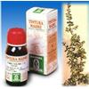 SPECCHIASOL Srl UVA URSINA 30 50ML TM