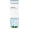 ERBA VITA GROUP SPA DROSERA PIANTA TINTURA IDROALCOLICA 50 ML EBV