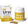 INNOVET URYS CAPS 30 compresse