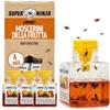 Super Ninja Trappola per Moscerini della Frutta da Interno, 4 Pezzi