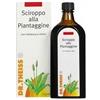 NATURWAREN ITALIA SRL THEISS PIANTAGGINE 250ML