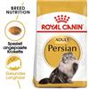 ROYAL CANIN Persian Adult 20kg (2x10kg)