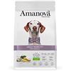 Amanova Cibo Secco Super Premium per cani adulti - per la salute delle articolazioni Gusto pesce bianco - 100% Naturale, ipoallergenico e monoproteico - Low grain - Cruelty Free - Formato da 2 Kg