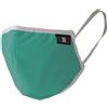 Dual Sanitaly Dualsan - Mascherina Multiuso DS-50 Tipo IIR Adulti Verde, 1Pezzo