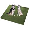 Waigg Kii Tappetino per cani di taglia XL, XXL, morbido velluto corallo, antiscivolo, lavabile, cuscino per cani e gatti (50 x 50 cm, verde)
