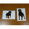 Jumajo lot 2 Magnets / aimants 7,8 cm X 5,3 cm CHIENS CHIOTS : ROTTWEILER 19/20
