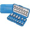 CCLIFE Set di chiavi a bussola Torx E4-E24 1/4 3/8 1/2 pollici